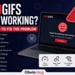 Redgifs Not Working